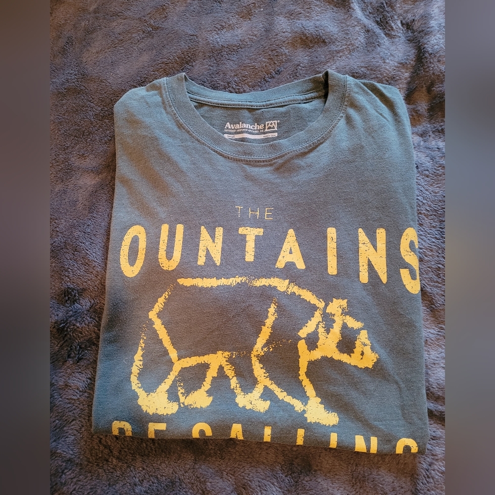 🌻 3 for $15. Avalanche mens t-shirt. Size small.